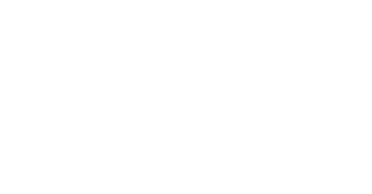 The Walt Disney Company