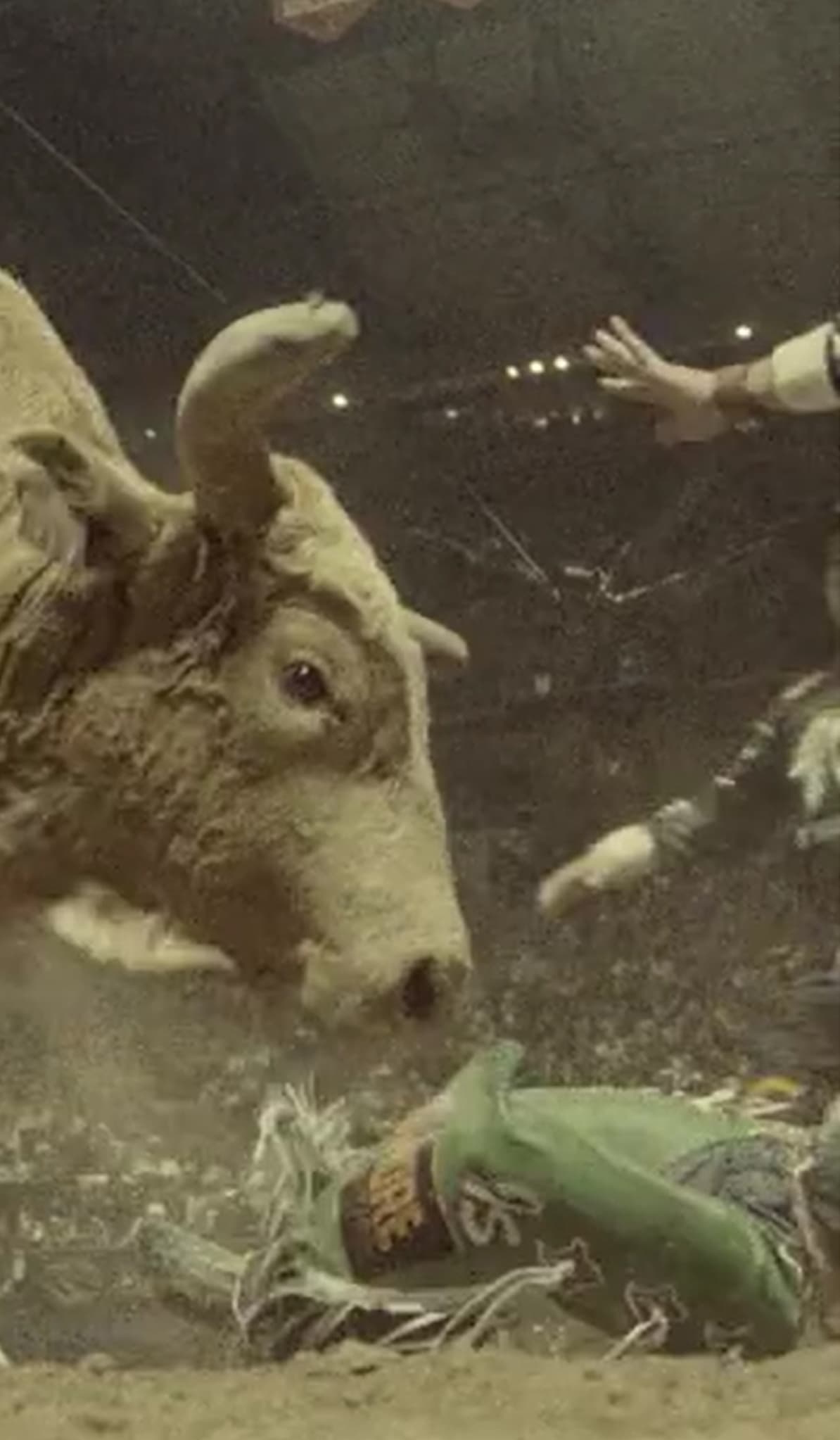 Film poster background